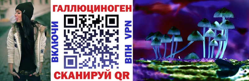 mega ТОР  Протвино  Псилоцибиновые грибы мухоморы  даркнет сайт 